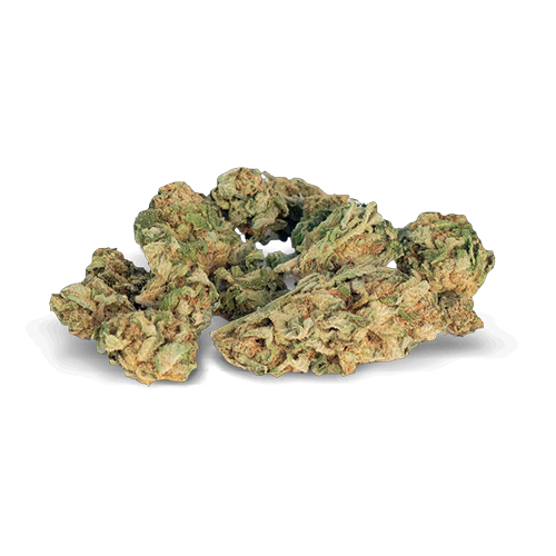 CBD Mango-x