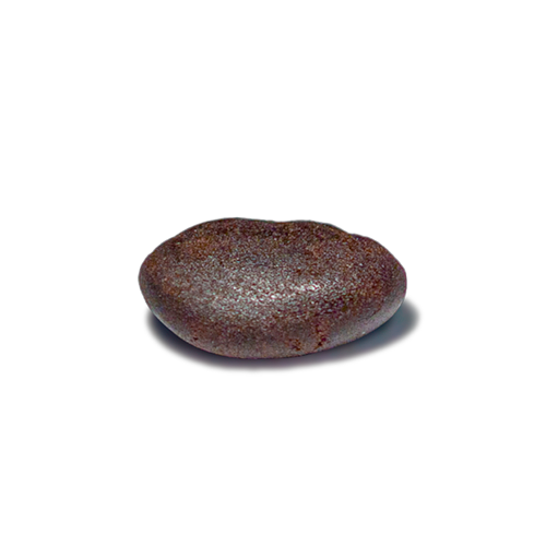emballage Berry blossom