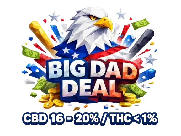 Logo Big Dad